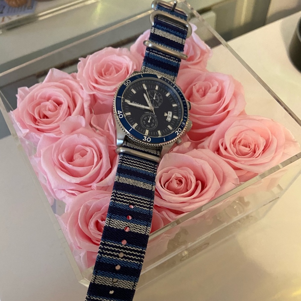 Mens Navy Face Fossil Watch